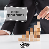ניהול עסקי